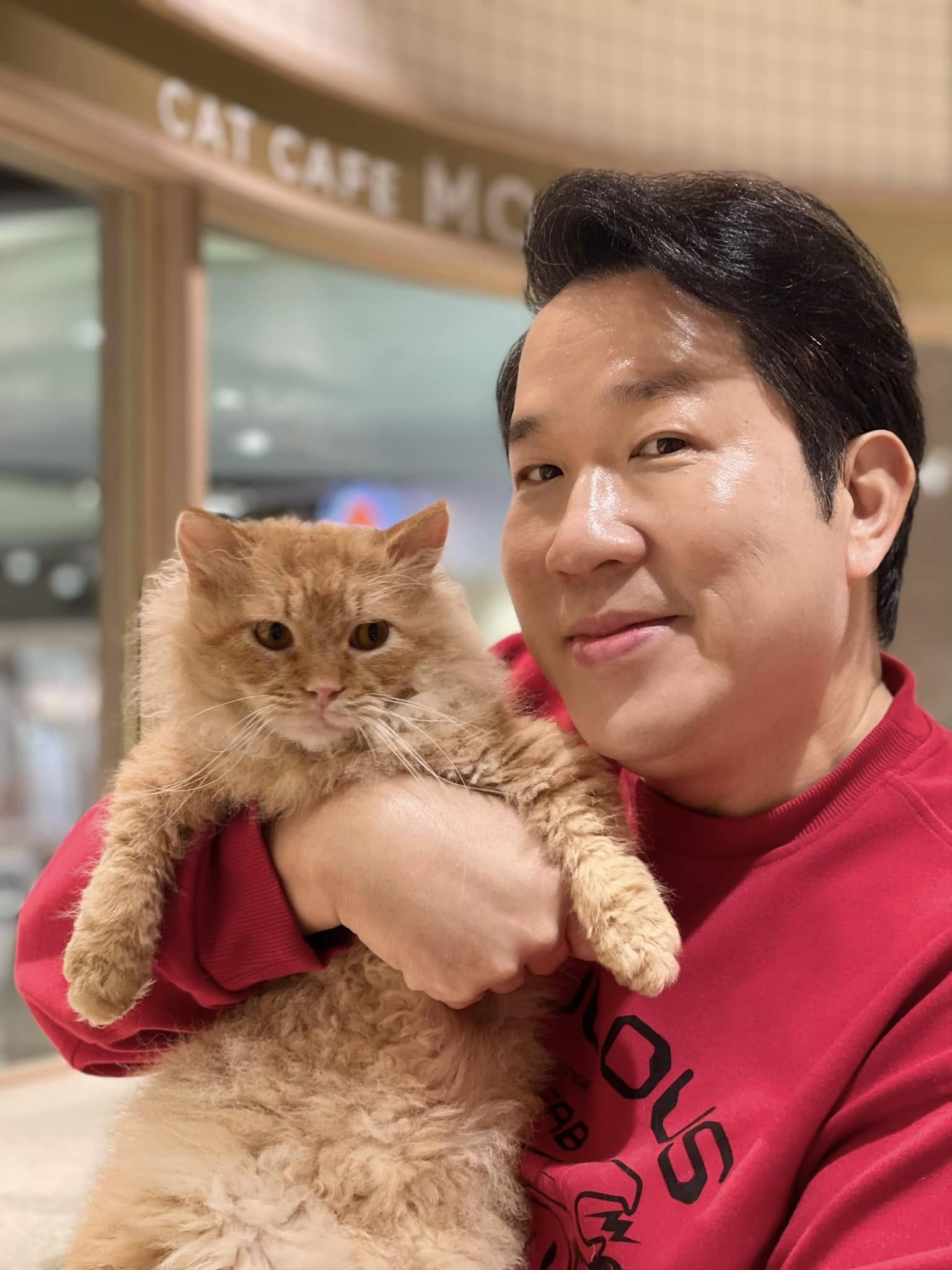 淡出台灣螢光幕!56歲資深男星「轉行開貓咖啡店」 月營收破150萬「砸2000萬曝新計畫」