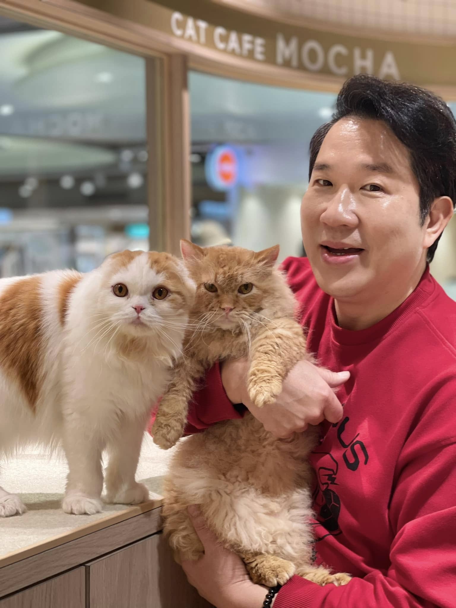 淡出台灣螢光幕!56歲資深男星「轉行開貓咖啡店」 月營收破150萬「砸2000萬曝新計畫」