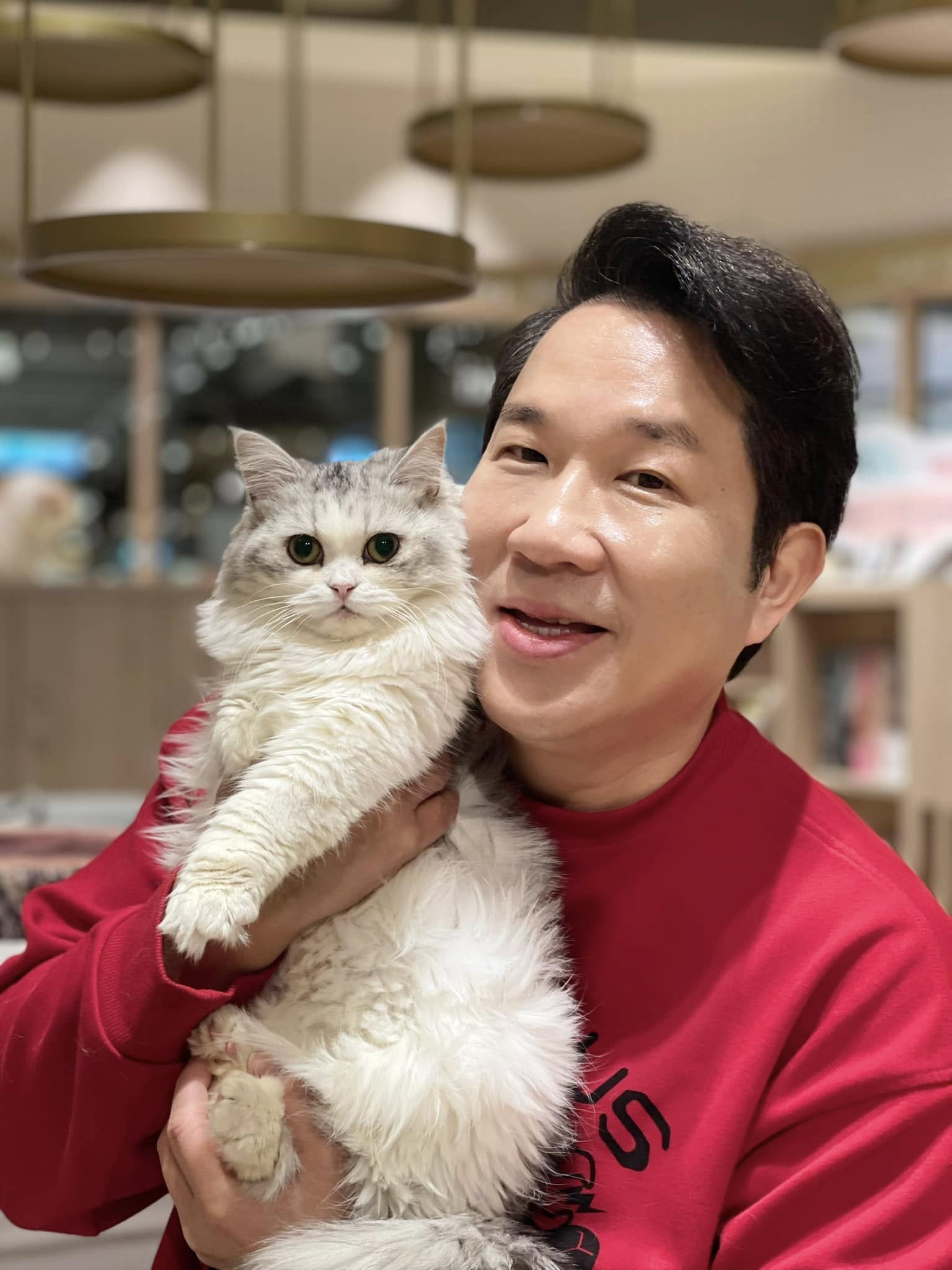 淡出台灣螢光幕!56歲資深男星「轉行開貓咖啡店」 月營收破150萬「砸2000萬曝新計畫」