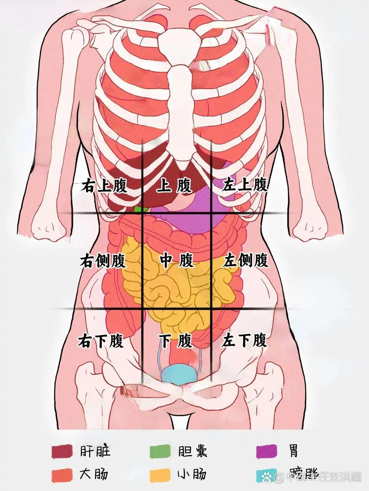 摘子宮後狂漏尿!44婦女淚控切除後「胃和膀胱掉下來」引發後遺症 醫揭真相「問題出在它」