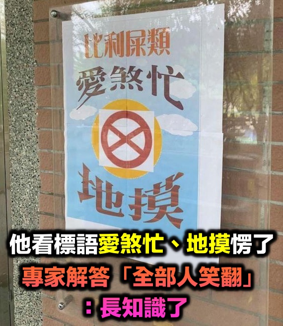 怎麼念?他看到標語「愛煞忙、地摸」愣了:台語還客語? 專業網友解答「全部人笑翻」長知識了