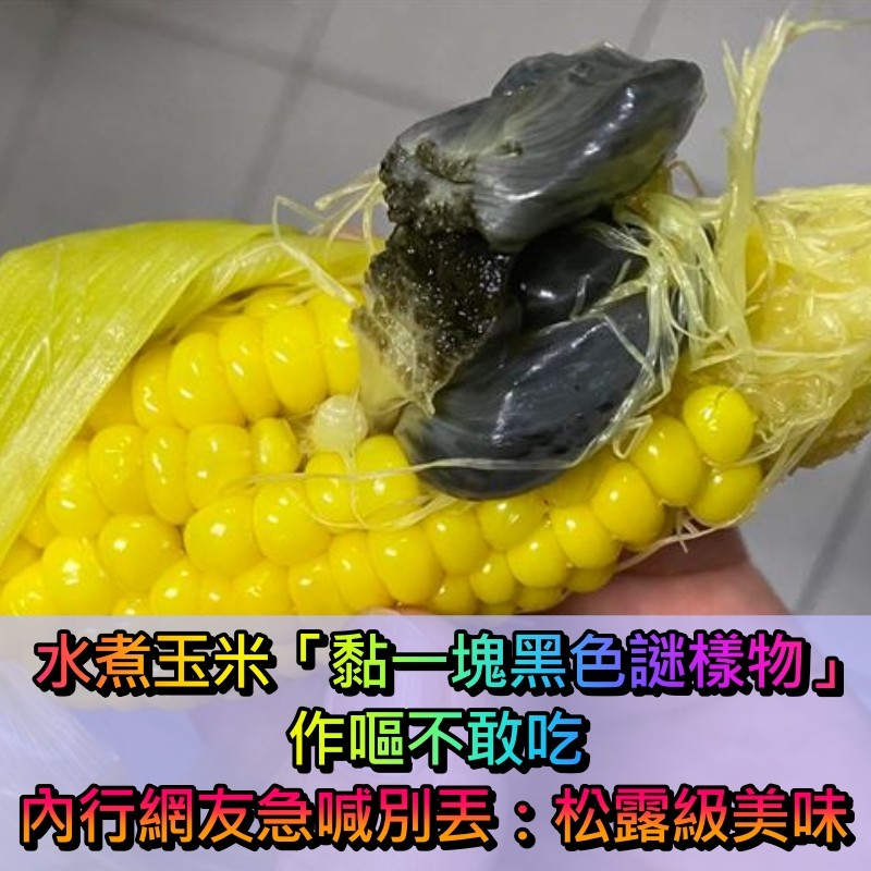 看了倒胃口!水煮玉米「驚見黑色豬肝」緊貼在一起 想剝開「內行網友急解答」:松露級美味