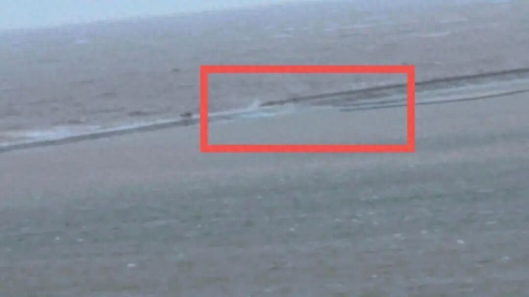 突然砰一聲!觀光火車「整列突然墜海」遇難人數曝光