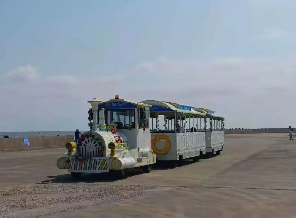 突然砰一聲!觀光火車「整列突然墜海」遇難人數曝光