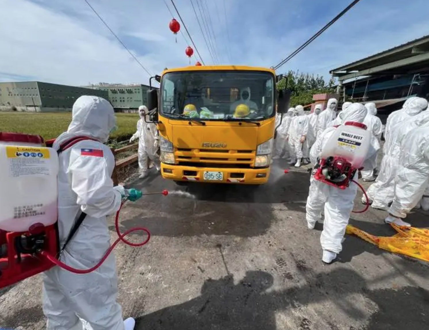 非洲豬瘟延燒!台中豬農父子「拖24天慘遭收押」 法院「公開3理由」:罪嫌重大