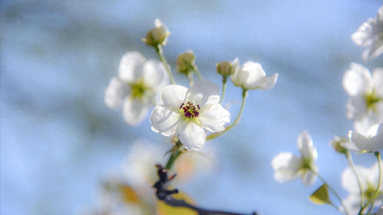 老伴一退休就和我離婚!隔天馬上「跟外面女人登記」 5年後我接到「一通來自醫院的電話」五味雜陳