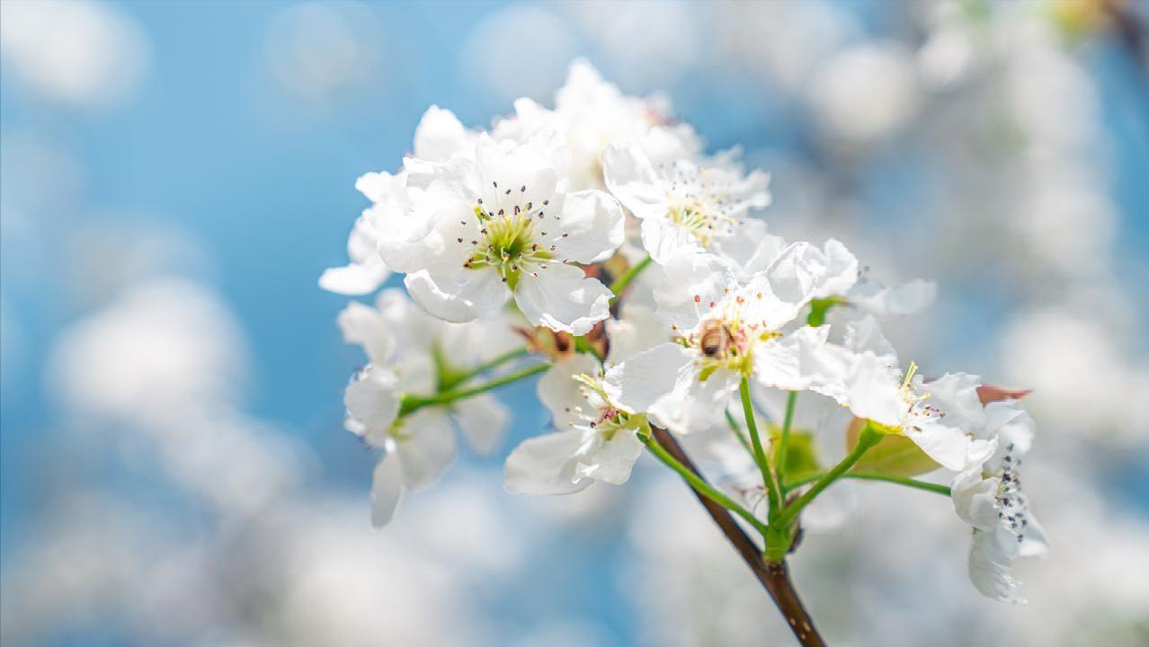 老伴一退休就和我離婚!隔天馬上「跟外面女人登記」 5年後我接到「一通來自醫院的電話」五味雜陳