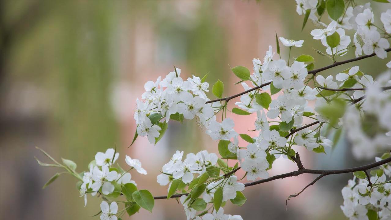 老伴一退休就和我離婚!隔天馬上「跟外面女人登記」 5年後我接到「一通來自醫院的電話」五味雜陳