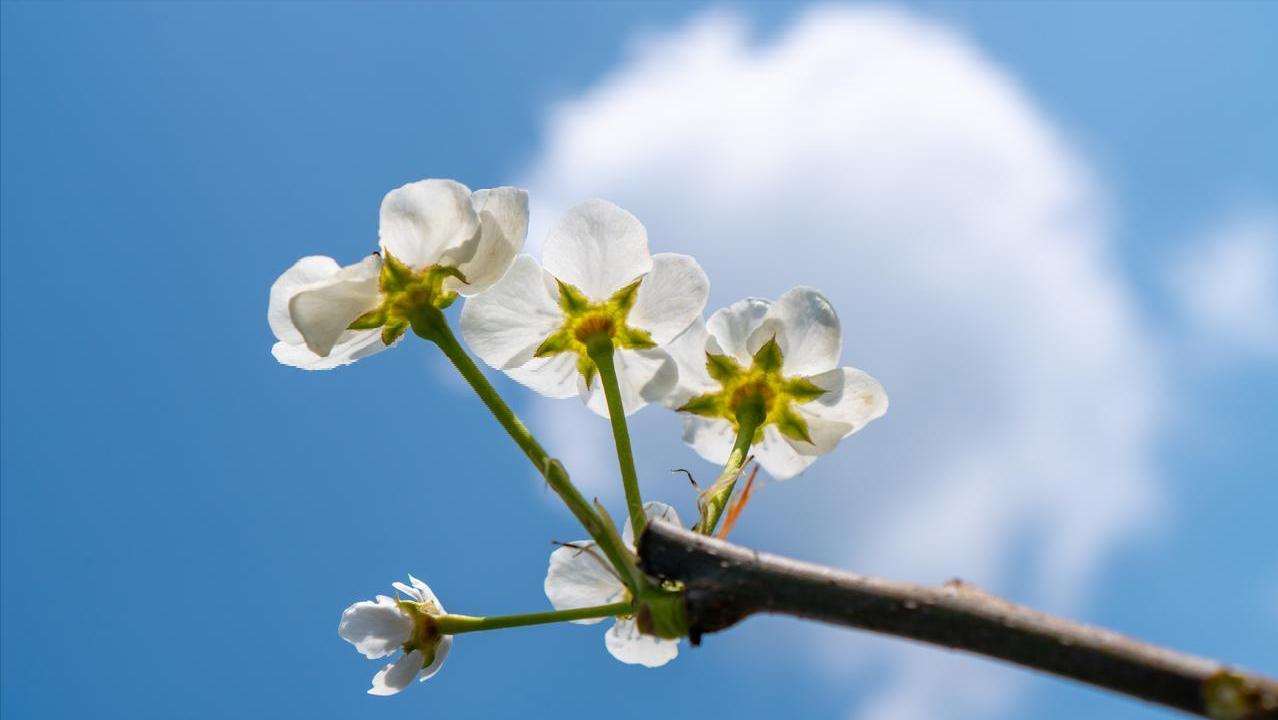 老伴一退休就和我離婚!隔天馬上「跟外面女人登記」 5年後我接到「一通來自醫院的電話」五味雜陳