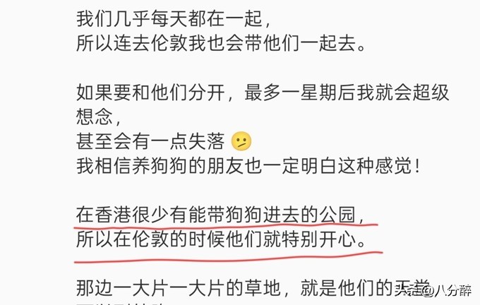 離婚單身多年！張曼玉「巔峰時淡出」隱居國外　61歲「逛寶寶衣服」突驚喜公開：是時候向你們介紹了