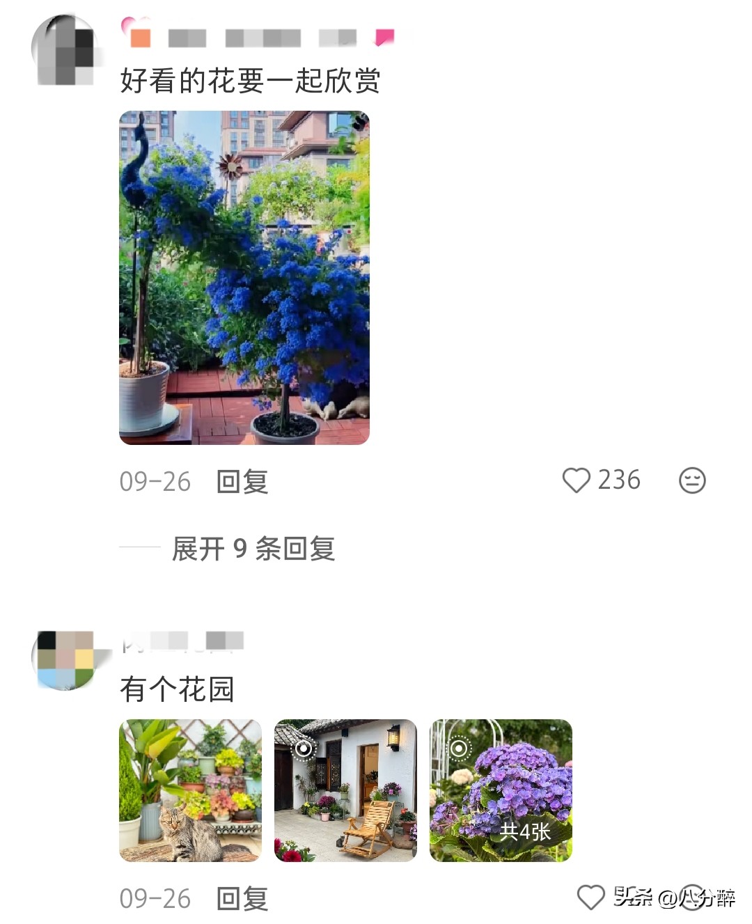 離婚單身多年！張曼玉「巔峰時淡出」隱居國外　61歲「逛寶寶衣服」突驚喜公開：是時候向你們介紹了