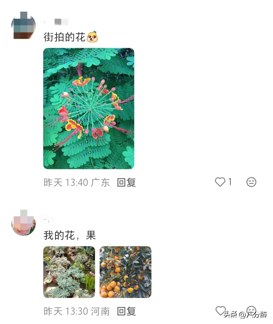 離婚單身多年！張曼玉「巔峰時淡出」隱居國外　61歲「逛寶寶衣服」突驚喜公開：是時候向你們介紹了