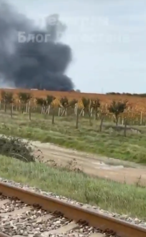 飛機突然墜毀!海灘瞬間起火「目前死傷曝光」