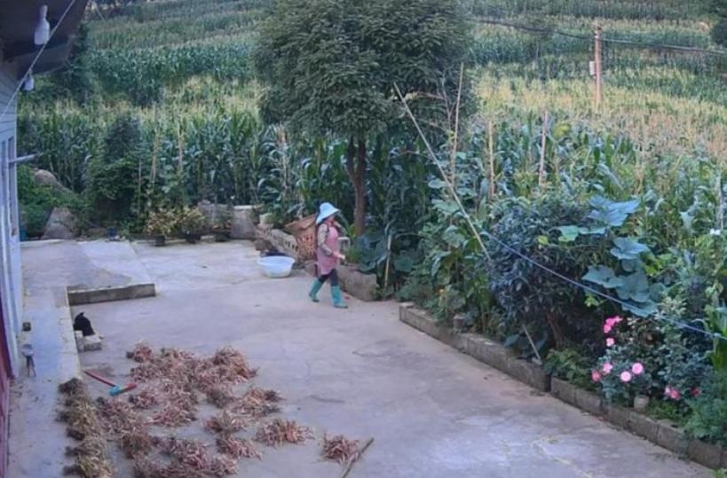 49歲女失蹤多日!被發現「藏石縫中喪命」最後畫面曝光 兒子崩潰「兇手還來家裡吃飯...」