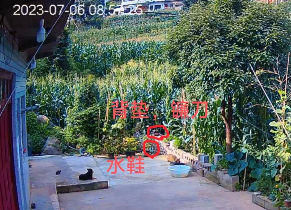 49歲女失蹤多日!被發現「藏石縫中喪命」最後畫面曝光 兒子崩潰「兇手還來家裡吃飯...」