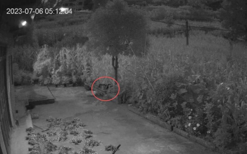 49歲女失蹤多日!被發現「藏石縫中喪命」最後畫面曝光 兒子崩潰「兇手還來家裡吃飯...」