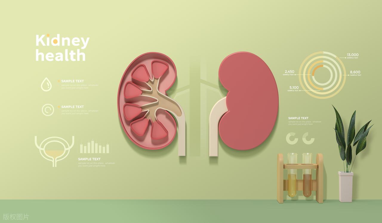 腎功能一下降「死亡風險狂飆」!4信號代表「你的腎透支了」:佔2條以上就該節制