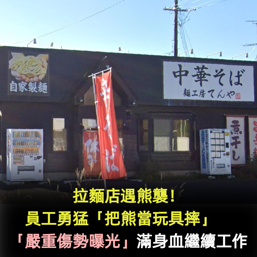 拉麵店遇熊襲!員工勇猛「把熊當玩具摔」直接打回去 「嚴重傷勢曝光」竟繼續工作