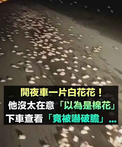 超詭異！男子開夜車發現地上白花花一片「以為是棉花」　下車查看被嚇破膽：撒了3公里，不敢撿