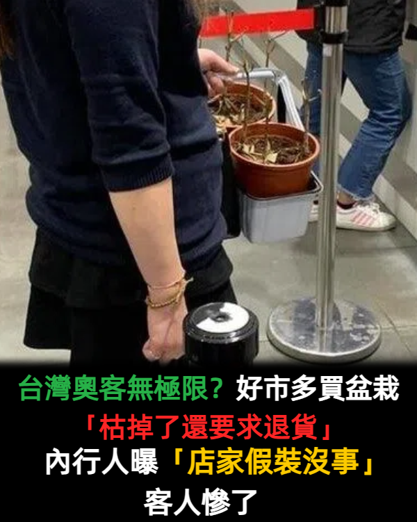 台灣奧客無極限?好市多買盆栽「枯掉了還要求退貨」 內行人曝「店家會假裝沒事」:準備手段反制