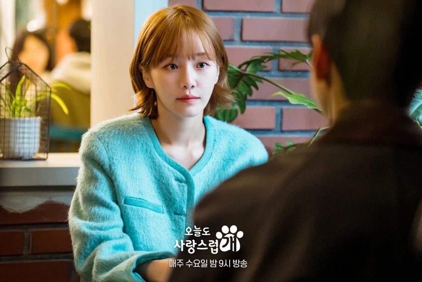 2026年12生肖運勢排行出爐！生肖馬「犯本命年太歲」慘墊底　冠軍「事業大突破」全年財運飆升