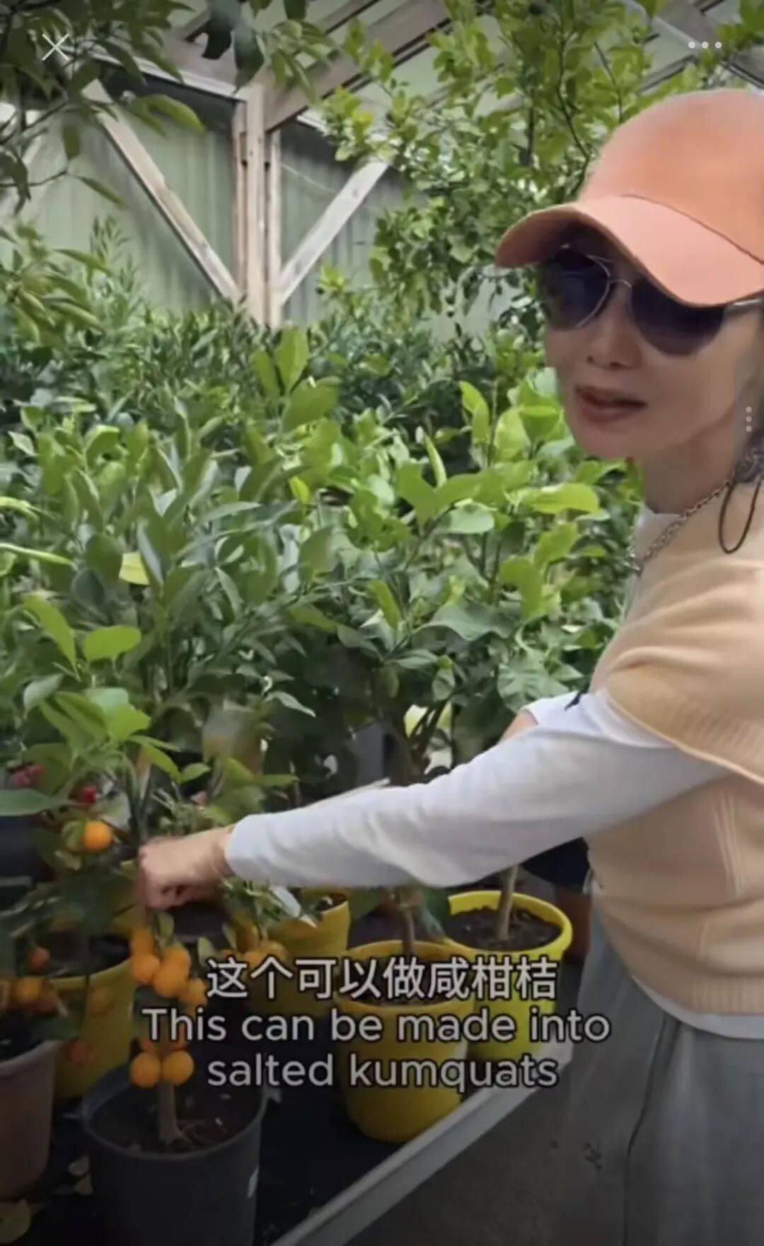 息影20年！61歲金馬影后「退休後改當園丁」　打造夢想花園「素顏動工照曝光」網驚：狀態超年輕