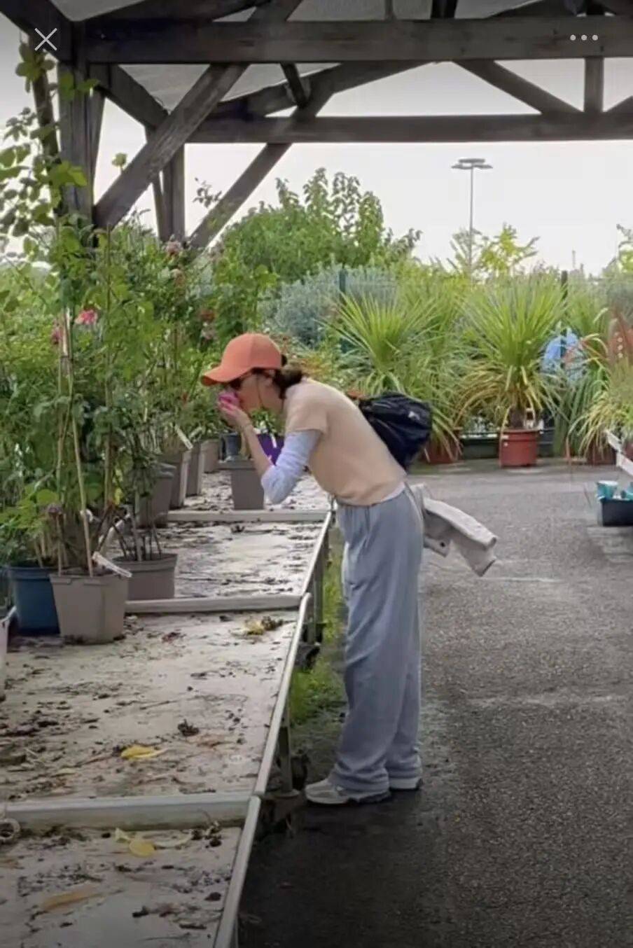 息影20年！61歲金馬影后「退休後改當園丁」　打造夢想花園「素顏動工照曝光」網驚：狀態超年輕