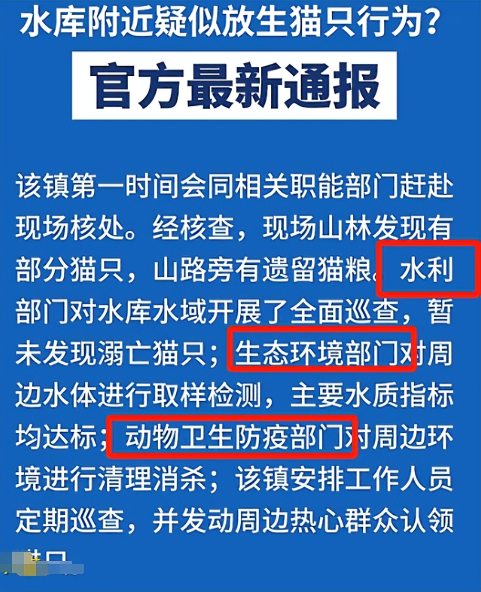 根本假慈悲！佛教團「水庫放生貓咪」還放大悲咒　動機曝光「300多隻溺水死」