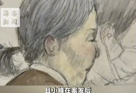 人間悲歌！71歲婦人「親手殺害102歲母親」　被逮捕淚喊「2度求救被拒絕」