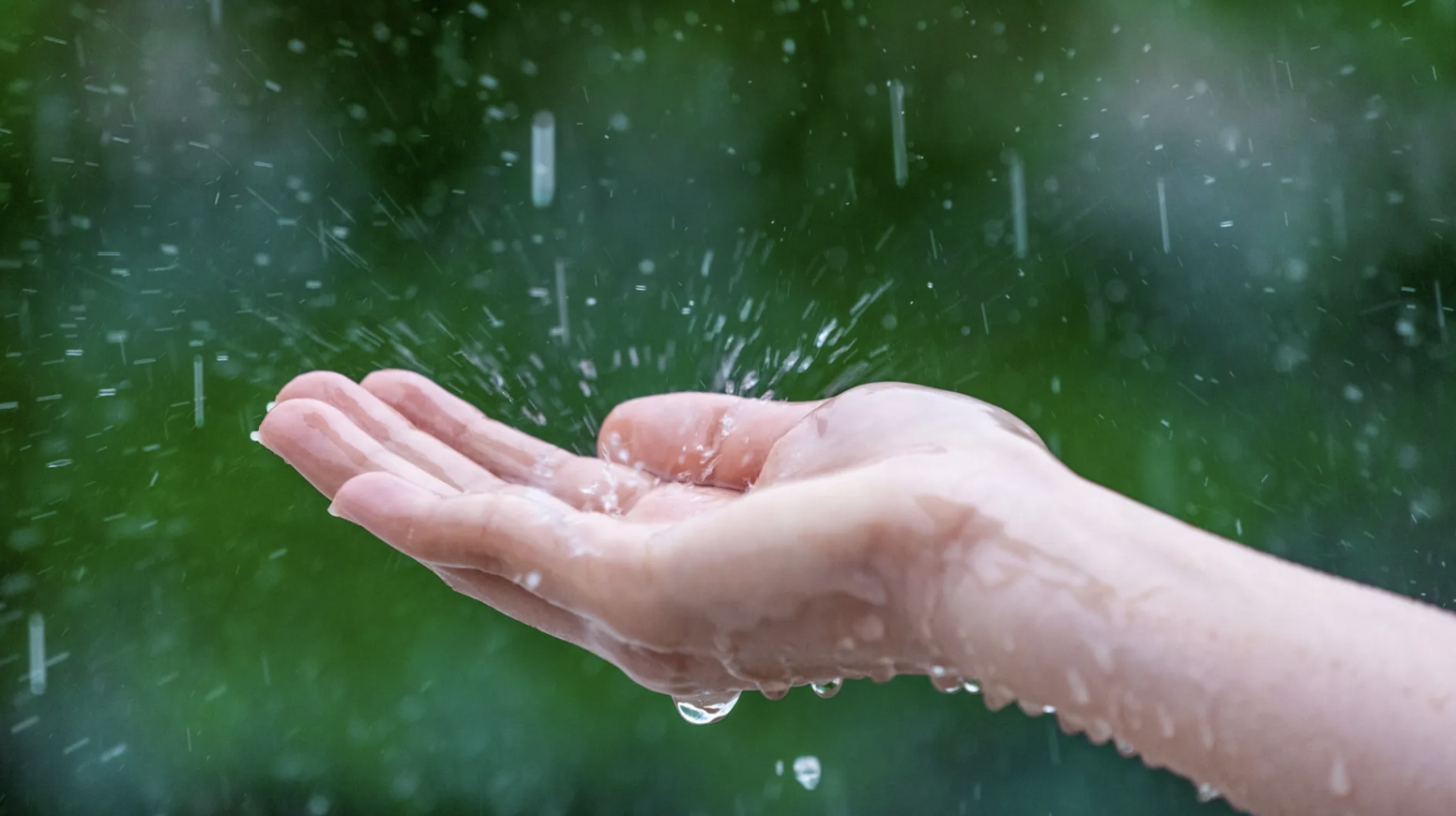 雨水正旺氣場大變！命理師曝「3生肖遇水則發」運勢起飛　點名3生肖「水逆影響大」一招化解