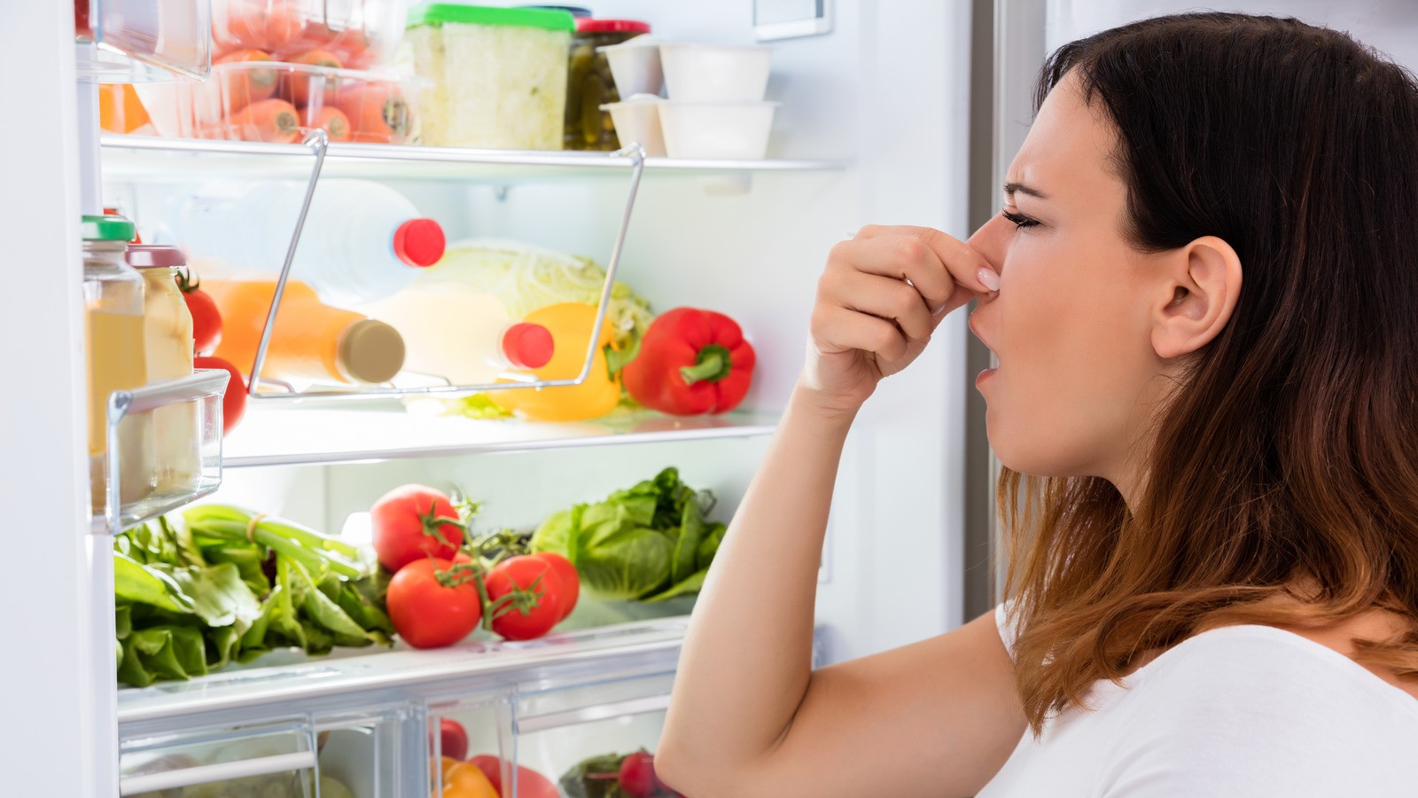 冰箱飄異味怎麼辦？譚敦慈曝「放1物瞬間除臭」：不要再放咖啡渣