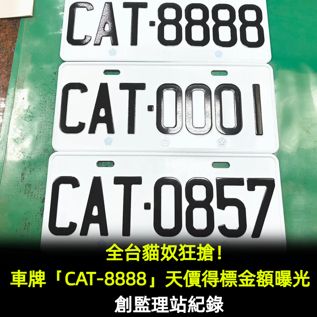 全台貓奴狂搶!車牌「CAT-8888」天價得標金額曝光 創監理站紀錄