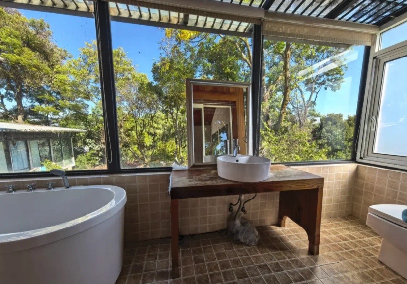 結束20年婚姻!50歲大咖歌后「獨自住在深山」養貓相伴 「親自下田種菜」氣色變超多:終於活成自己