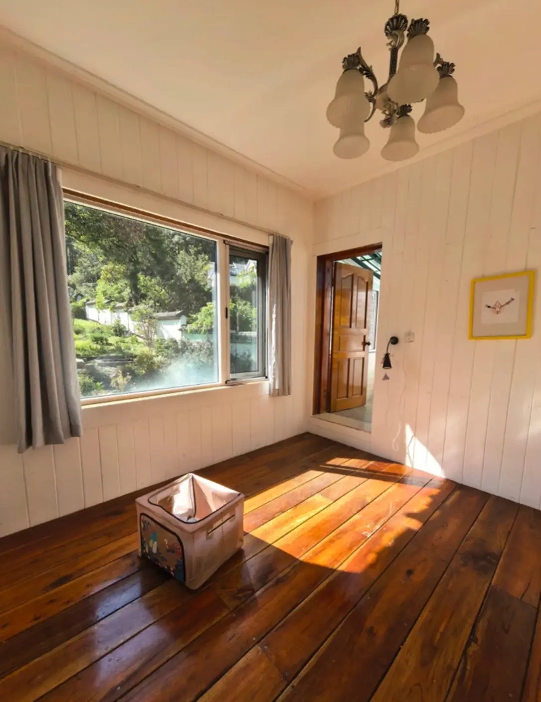 結束20年婚姻!50歲大咖歌后「獨自住在深山」養貓相伴 「親自下田種菜」氣色變超多:終於活成自己