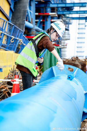 發展不如2姊姊!歐陽龍傅娟「21歲小女兒」演藝事業慘淡 驚爆「中國當工人蓋橋」網全看傻