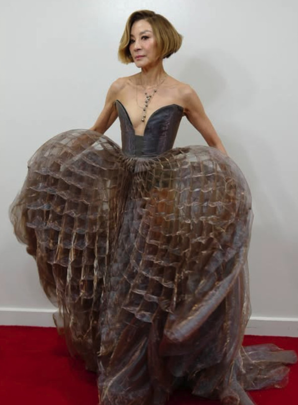 華人之光!63歲楊紫瓊奪國際大獎「成亞洲第一人」 走紅毯「低胸中空大開」往下一看網卻看傻