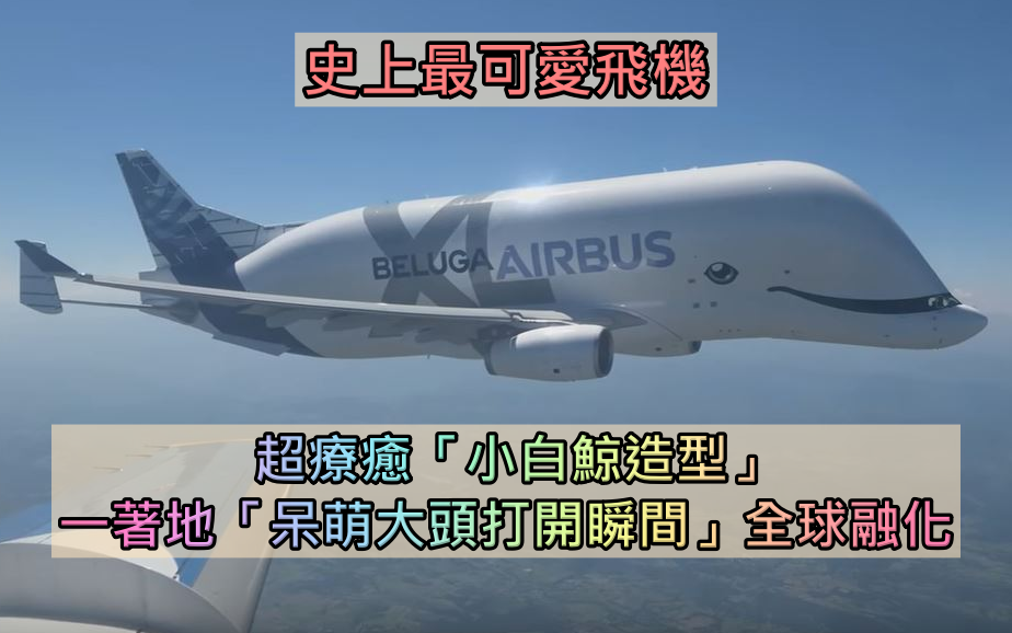 史上最可愛飛機!超Q「小白鯨造型」療癒又吸睛 一著地「呆萌大頭打開瞬間」全球融化:好想被載❤️