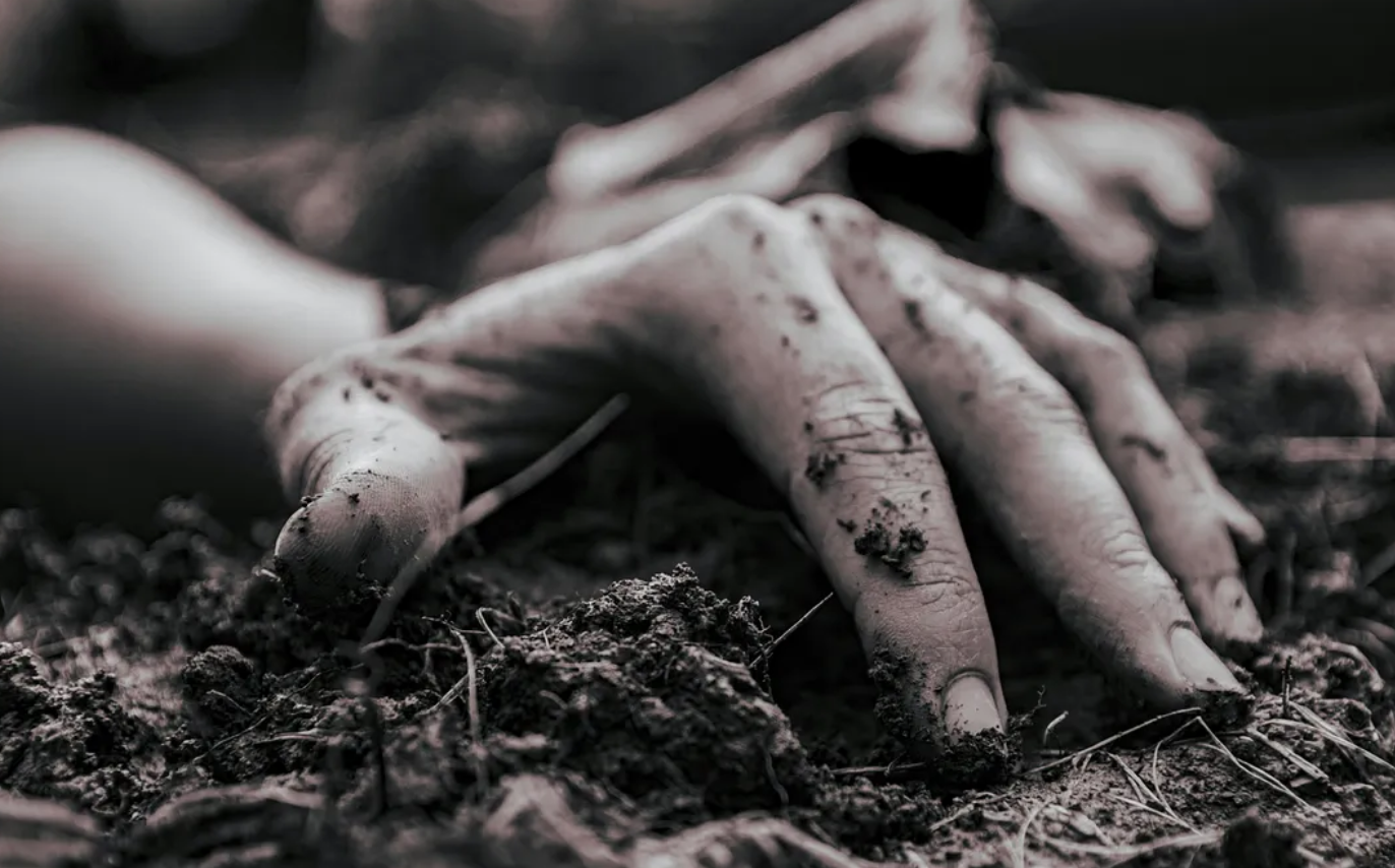 全家遭滅門！13歲倖存少年「親手槍決兇手」