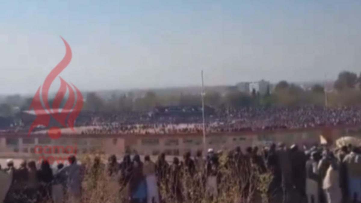 全家遭滅門！13歲倖存少年「親手槍決兇手」