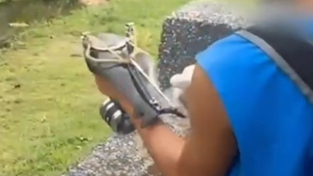 本是郎才女貌！富家獨生女「嫁給澳洲二婚男」生下1女　才過2年「竟遭丈夫殺害」家破人亡...