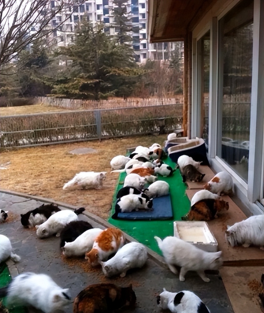 手拿40萬名牌包！資深女星「私下遛狗被巧遇」　一轉身「素顏完美狀態」網驚嘆：以為是少女