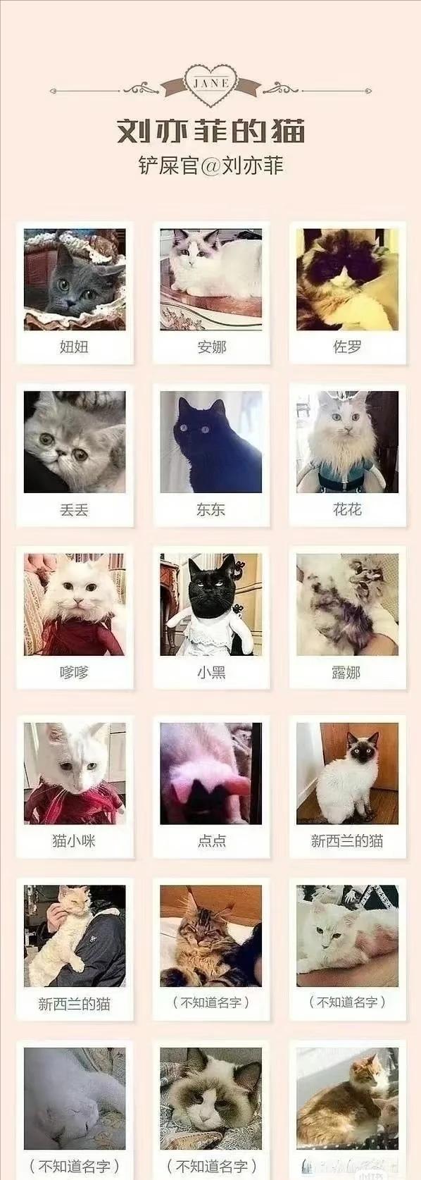 手拿40萬名牌包！資深女星「私下遛狗被巧遇」　一轉身「素顏完美狀態」網驚嘆：以為是少女