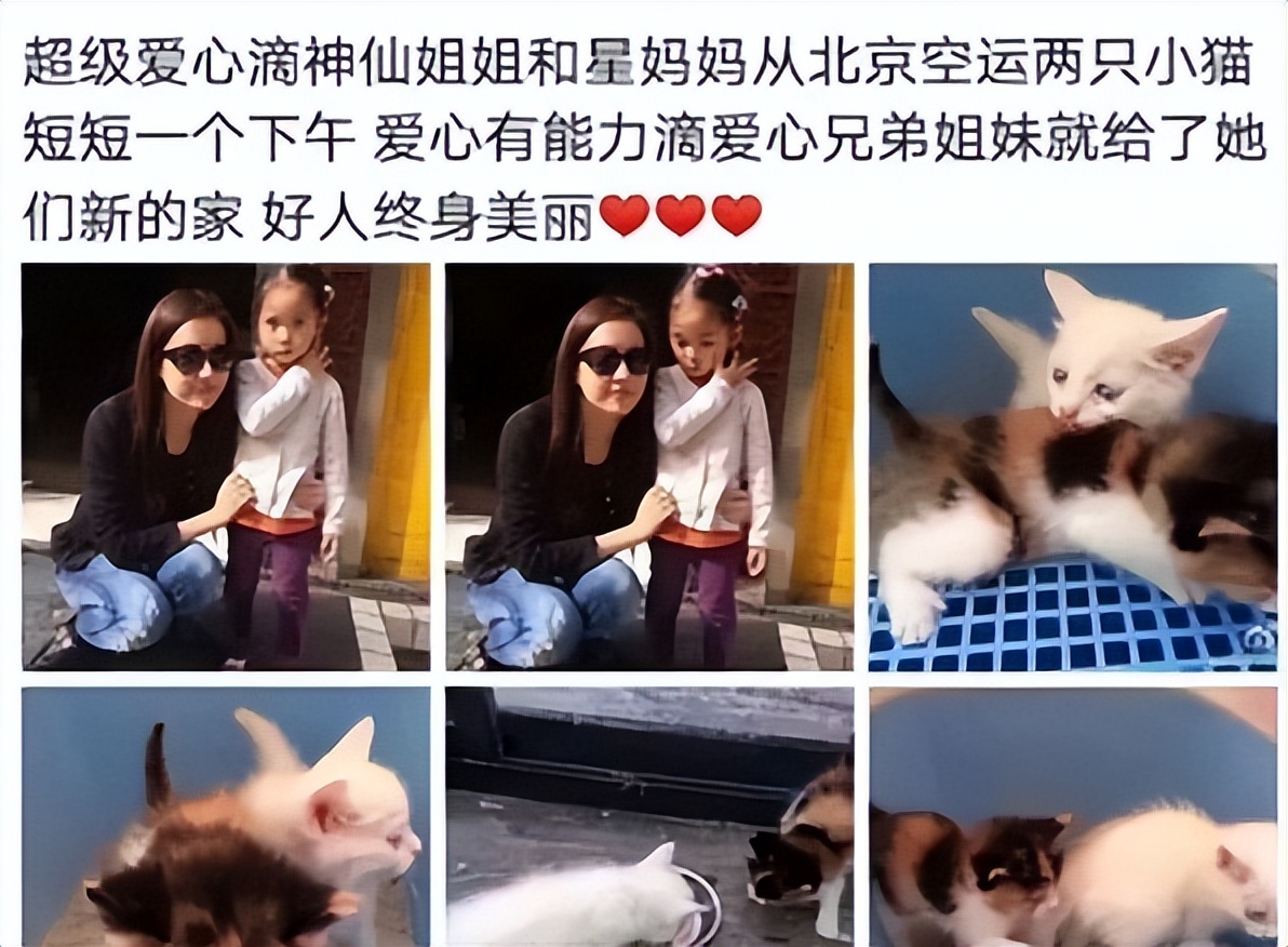 手拿40萬名牌包！資深女星「私下遛狗被巧遇」　一轉身「素顏完美狀態」網驚嘆：以為是少女