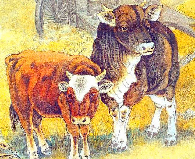 天氣一冷「運氣卻暖起來」4生肖：事業節節高昇大賺錢！