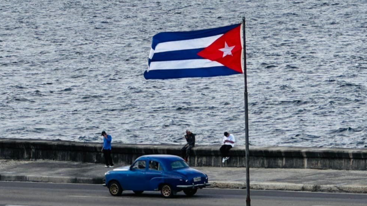 這國家「對台灣不友善」!外交部出招「用龍蝦制裁」進口狂跌75%