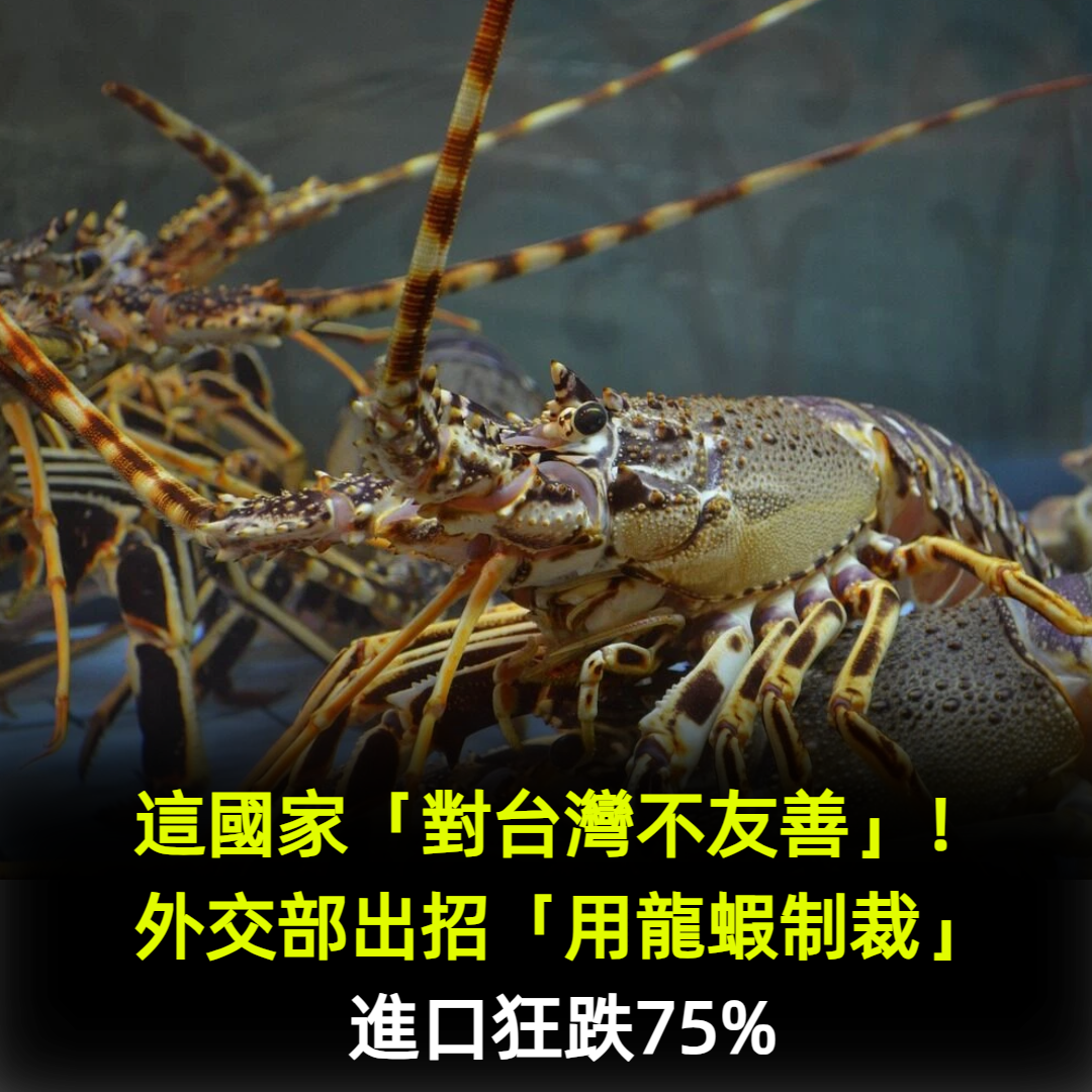 這國家「對台灣不友善」!外交部出招「用龍蝦制裁」進口狂跌75%
