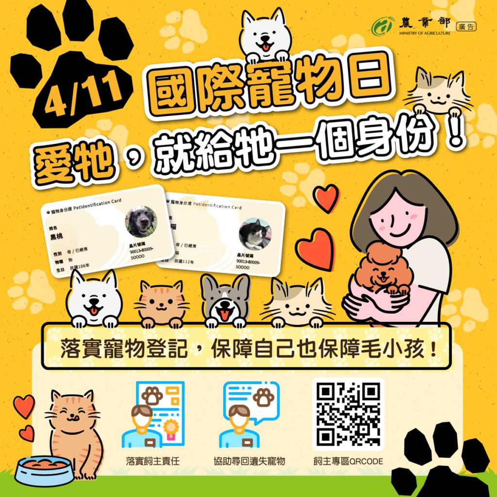 不只新生兒!2026年養貓戶「要強制報戶口」 這天前沒登記「最高恐罰1萬5」...