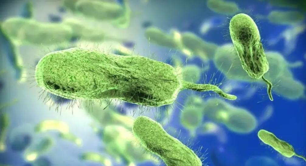 死亡率近99％！52歲男「搶救無效過世」醫生嘆息：全因他忽略做1事