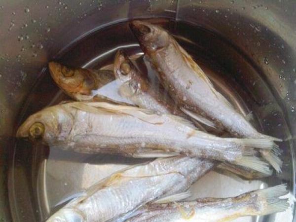 世界衛生組織公告！6種食物「被證實促癌」　很多人每天都在吃「尤其第2樣」老人家超愛