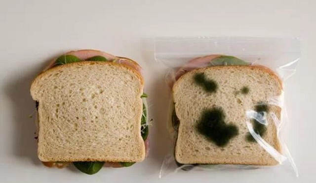 世界衛生組織公告！6種食物「被證實促癌」　很多人每天都在吃「尤其第2樣」老人家超愛